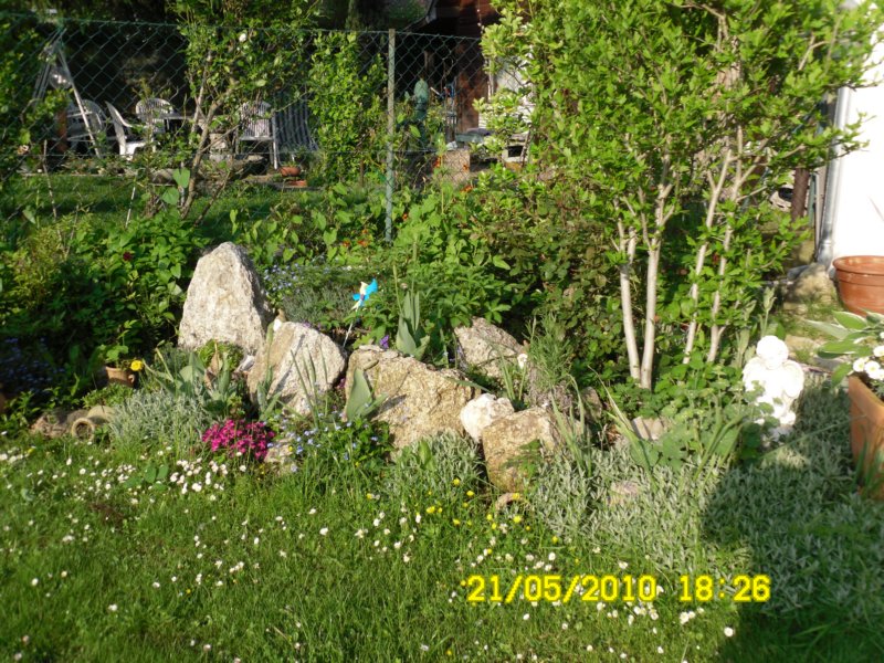 sdc10600.jpg